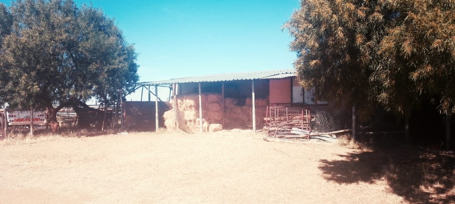 3 Bedroom Property for Sale in Bainsvlei Free State